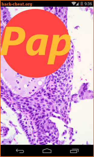 Pap App screenshot