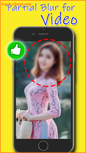 Partial Blur Video Editor for Free screenshot