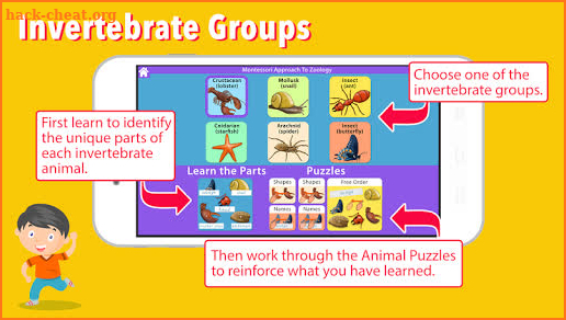 Parts of Animals Invertebrates -Montessori Zoology screenshot