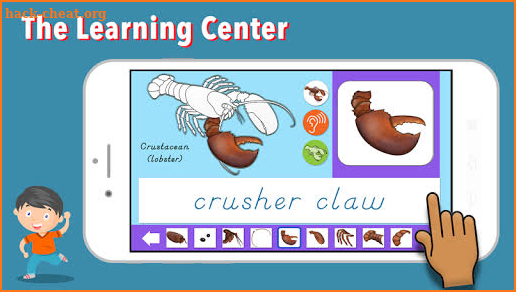 Parts of Animals Invertebrates -Montessori Zoology screenshot