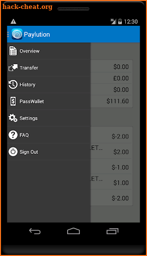 Paylution screenshot