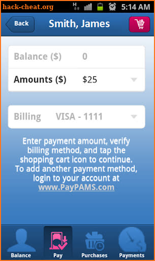 PayPAMS screenshot