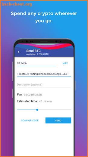 Paytomat Wallet screenshot