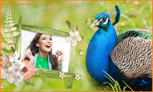 Peacock & Nature Photo Frames screenshot