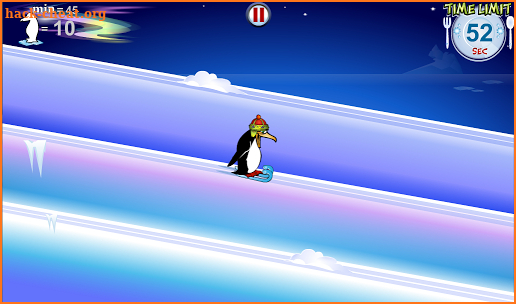 Penguin & Bear Full screenshot