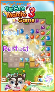 Pet Care Match 3 Game screenshot