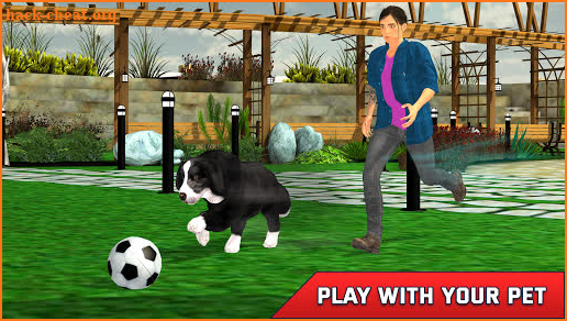 Pet Dog Simulator: Dog Simulator Animal Life screenshot