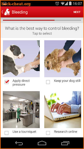 Pet First Aid - Red Cross screenshot