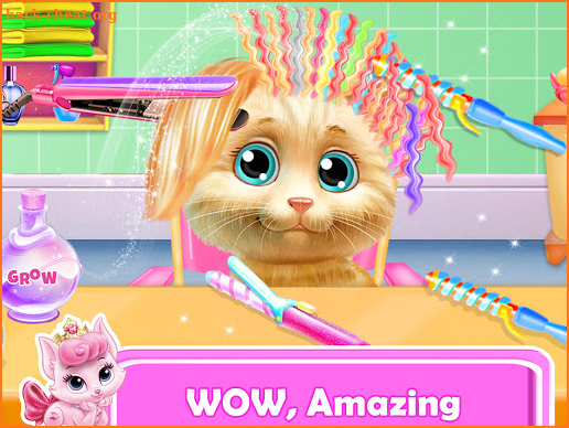 Pet Kitty Hair Salon Hairstyle Makeover screenshot