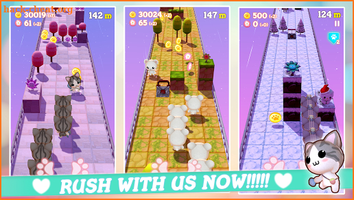 Pet Pet Rush screenshot