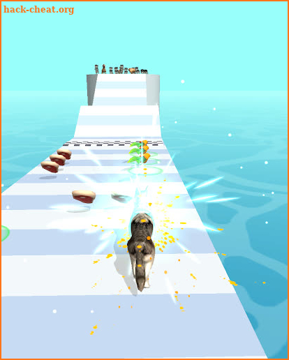 Pet Run 3D screenshot