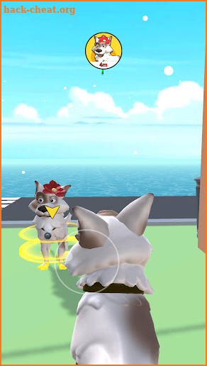 Pet Saga 3D screenshot