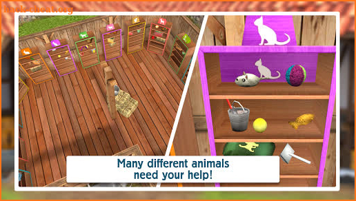 Pet World Premium - animal shelter – care of them screenshot