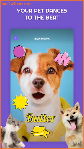 PetStar: Your Dog & Cat Sings screenshot