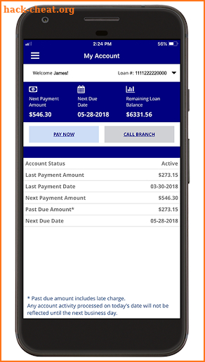 PFSAUTO by Professional Financial Services screenshot