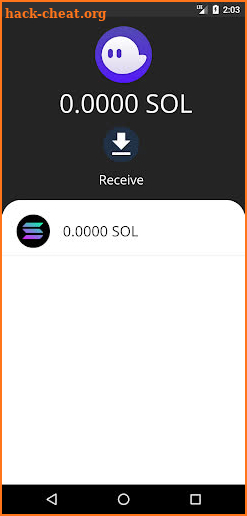 Phantom Wallet screenshot