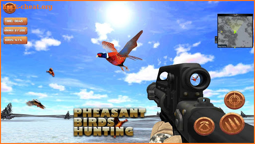 Pheasant Bird Hunting: Wings Sniper Shooting 2018 screenshot