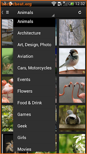 Phereo 3D Photo screenshot