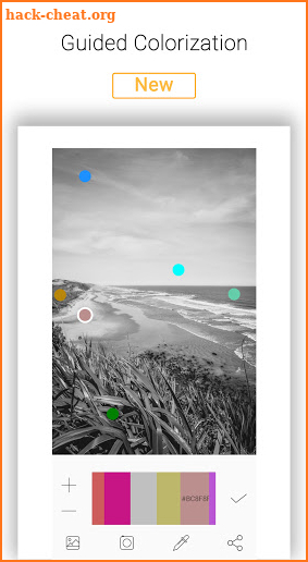 Pholorize : Colorize Your Old Black & White Photos screenshot