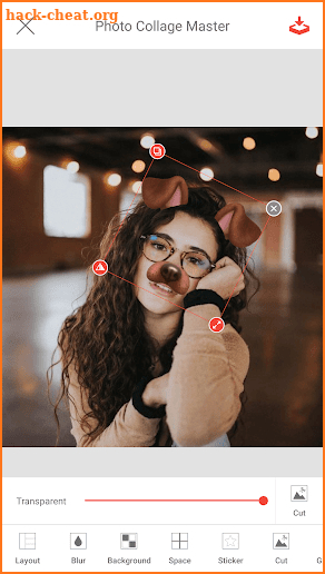Photo Collage Master Pro screenshot