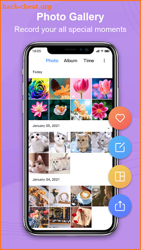 Photo Gallery, Picture Manager - Nuts Gallery screenshot