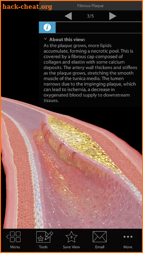 Physiology & Pathology screenshot