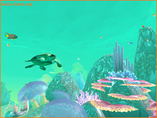 PI VR Coral Reefs screenshot