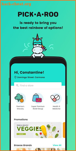 Pickaroo: Premium Delivery screenshot