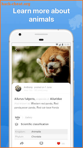 Picture Animal - Animal ID Pro screenshot