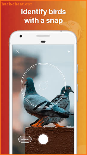 Picture Bird - Bird Identifier screenshot