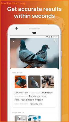 Picture Bird - Bird Identifier screenshot