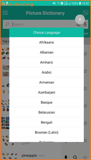Picture Dictionary English screenshot