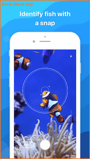 Picture Fish - Fish Identifier screenshot