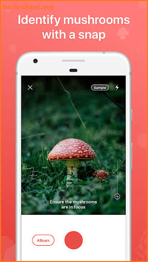 Picture Mushroom - Mushroom ID screenshot