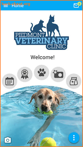 Piedmont Vet screenshot