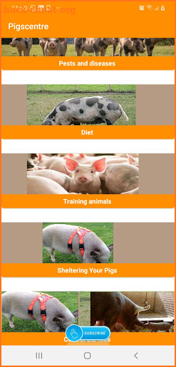 piggocenters screenshot