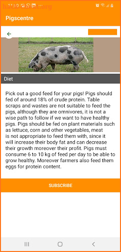 piggocenters screenshot