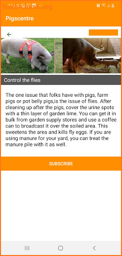 piggocenters screenshot