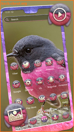 Pink Robin Launcher Theme screenshot