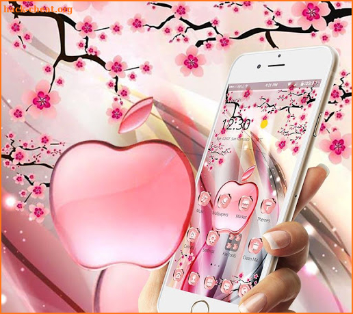 Pink Summer Flower Crystal Apple Theme screenshot