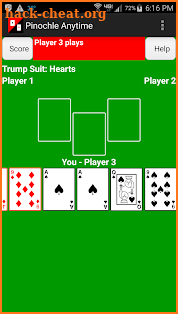 Pinochle Anytime screenshot