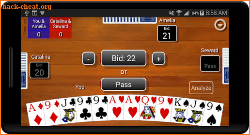 Pinochle Classic screenshot