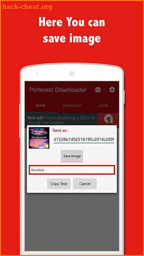 Pinsave - Image Downloader for Pinterest screenshot