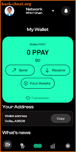 PioneerPay screenshot