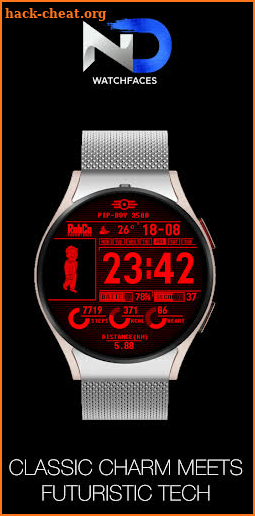 Pip-Boy Watchface screenshot