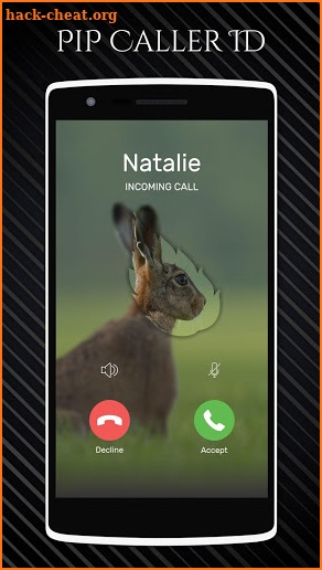 PIP Caller ID - PIP Caller Screen screenshot