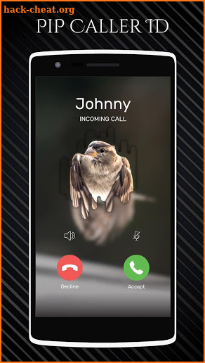 PIP Caller ID - PIP Caller Screen screenshot