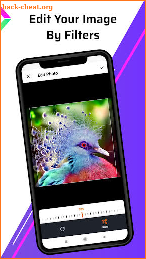 PIP Video - Animate Photo, Animator, Video Maker screenshot