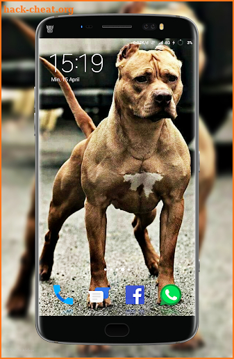 Pitbull Wallpaper screenshot