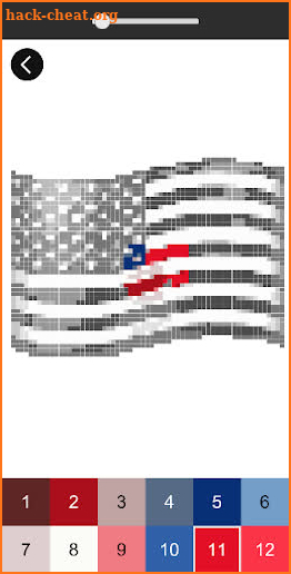 Pixel Art Flags Color By Number screenshot